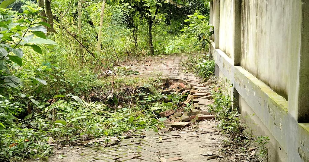 মেঘনায় হেরিংবন সড়কের বেহাল দশা, ভোগান্তিতে ৬ গ্রামের শিক্ষার্থী