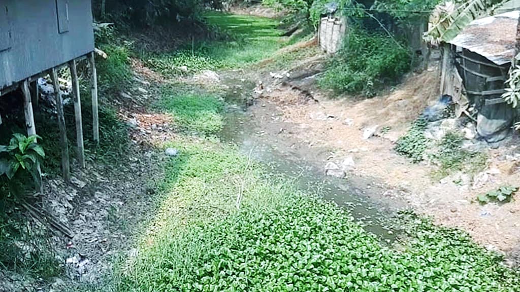 মরতে বসেছে টরকী–বাশাইল খাল, পানিশূন্যতায় হুমকিতে আগৈলঝাড়ার জনজীবন
