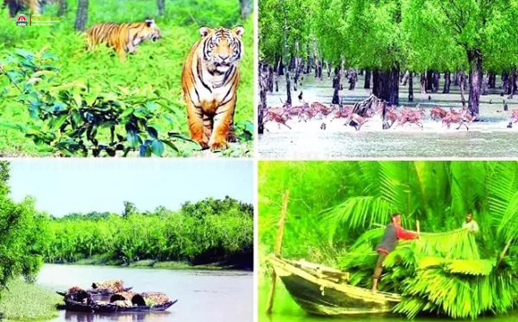 সুন্দরবনে আবার দস্যু আতঙ্ক দুবলার লইট্রাখালী খাল থেকে জেলে অপহরণ, মুক্তিপণ দাবি সুমন বাহিনীর