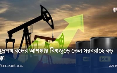 হরমুজ সংকটে জ্বালানি ঝুঁকি