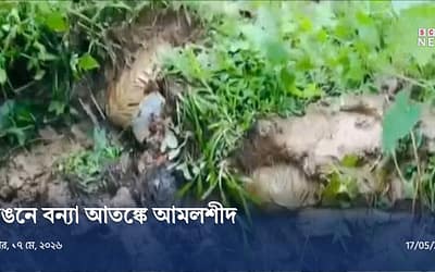 আমলশীদে বেড়িবাঁধে ভয়াবহ ভাঙন