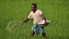 ন্যানো ফার্টিলাইজার কী, ব্যবহার হয় কীভাবে?